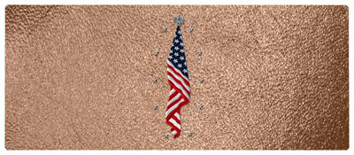 DNSEMP-L-421-SH-BZ Flag at Rest Shimmer Bronze